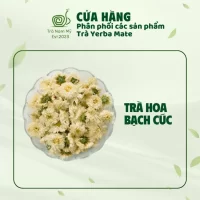 TRÀ HOA BẠCH CÚC ORGANIC PHA TRÀ