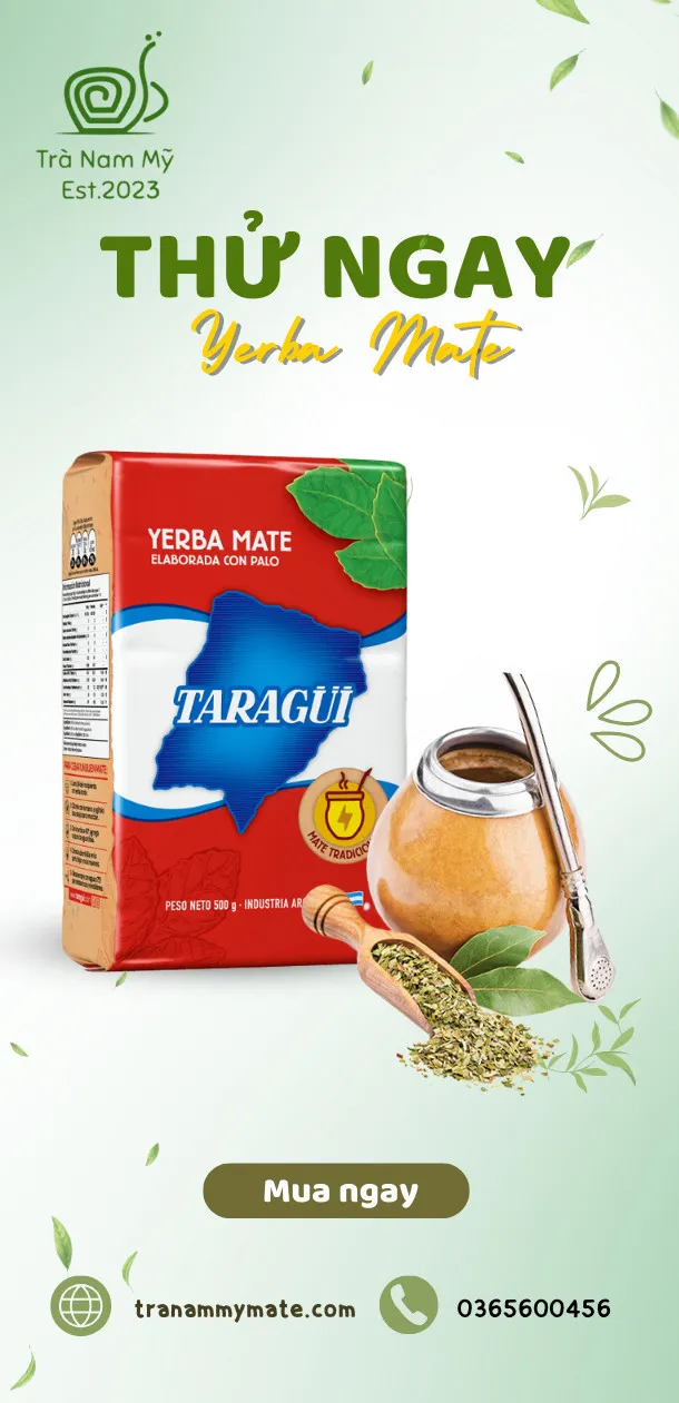 yerba mate