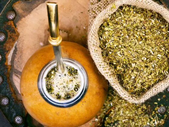 Yerba mate có tác dụng hỗ trợ tăng cường trí nhớ