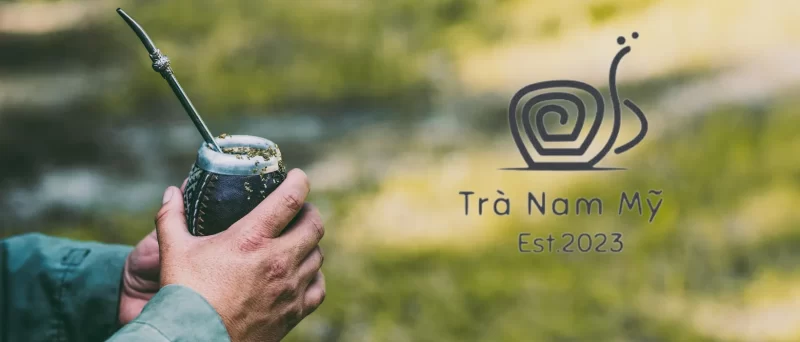 trà Yerba Mate mua ở đâu