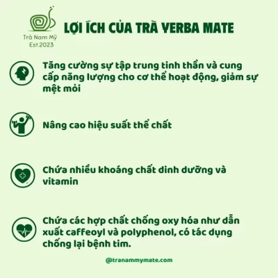 hương vị của trà nam mỹ 1