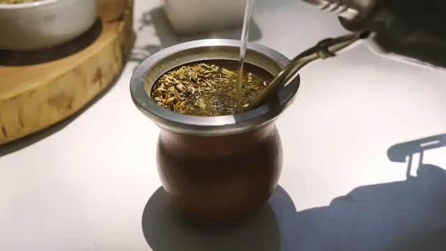 cốc uống trà yerba mate 3