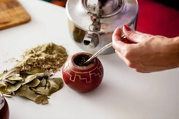  Trà Nam Mỹ - Yerba Mate có gây ung thư không ?