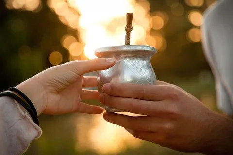 uống trà yerba mate có gây say không