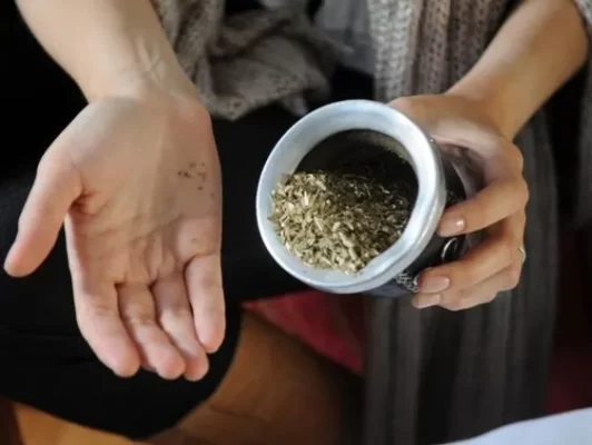 uống trà yerba mate có gây say không