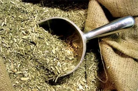 Yerba mate 2