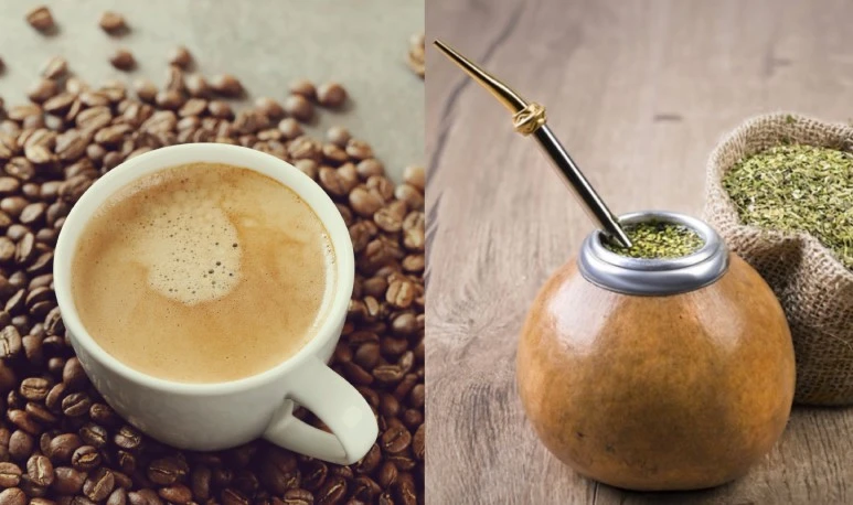 Nguồn gốc và lịch sử của yerba mate và cafe