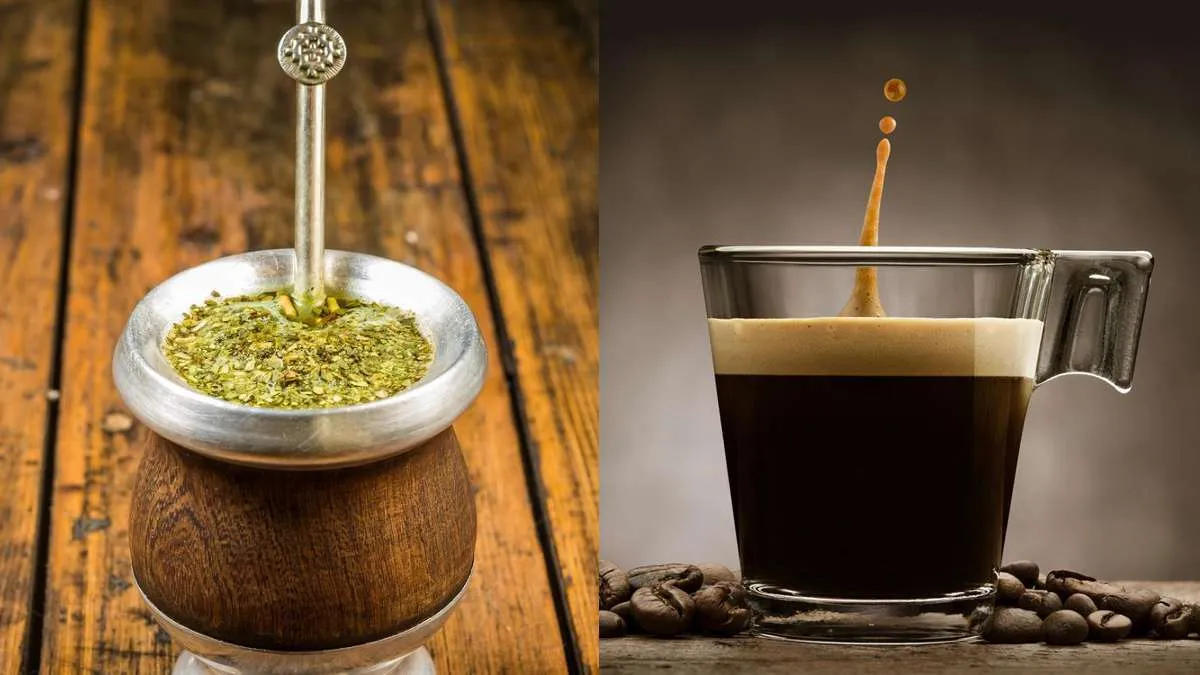 Hương vị và sự đa dạng của yerba mate và cafe