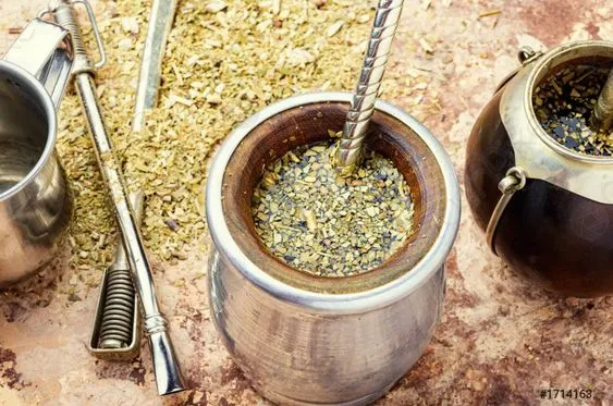 yerba mate là gì