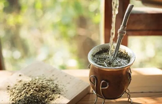 Yerba Mate là Gì?